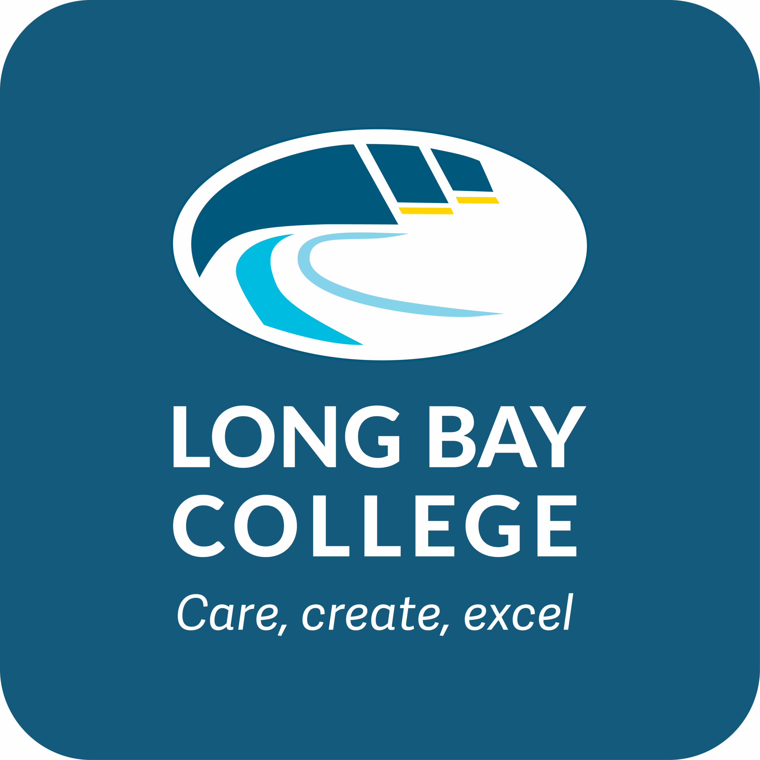 Long Bay College