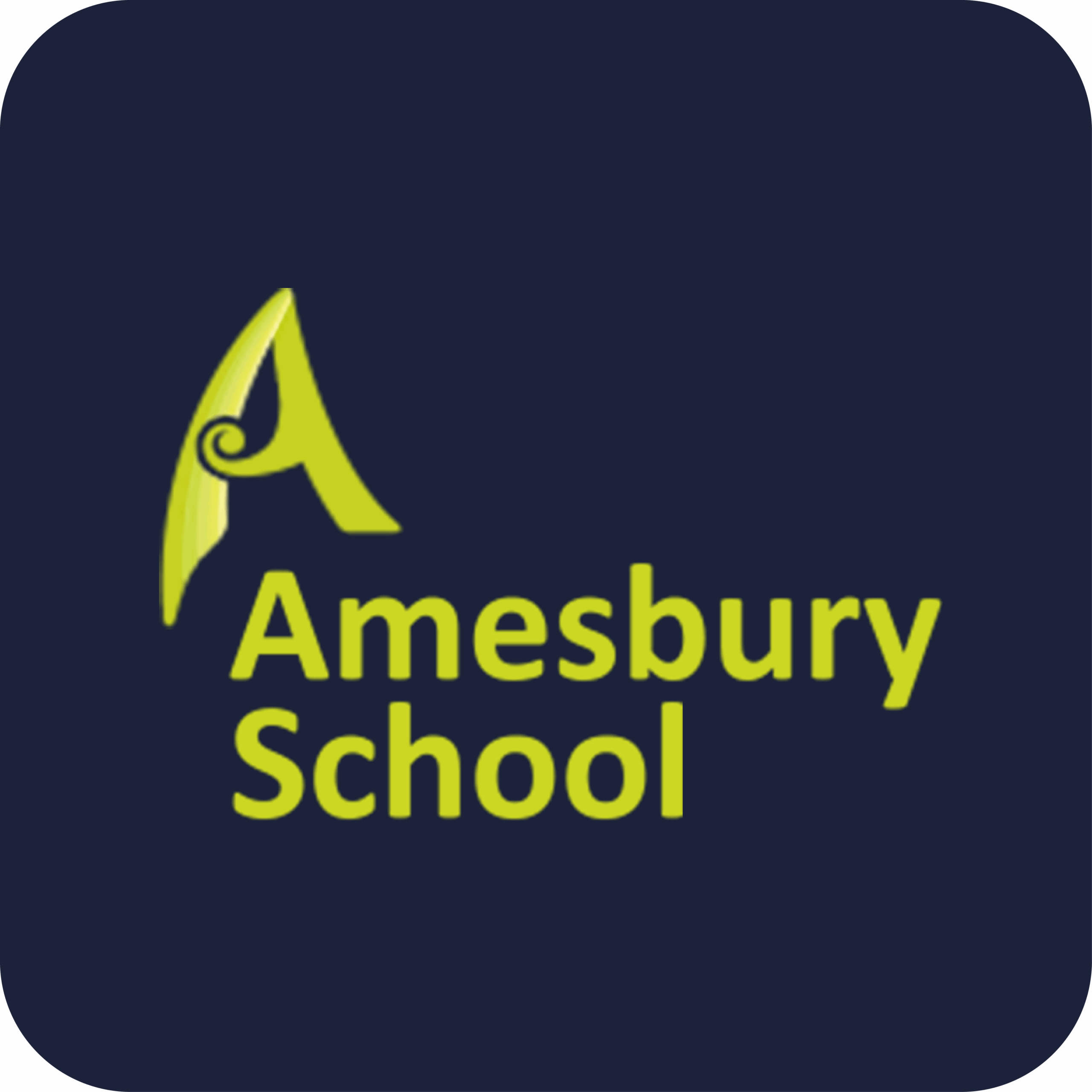 Amesbury School